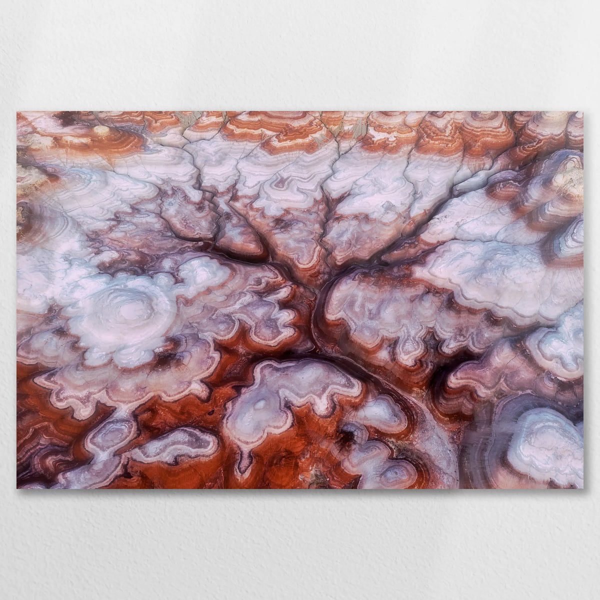 AL-075W050