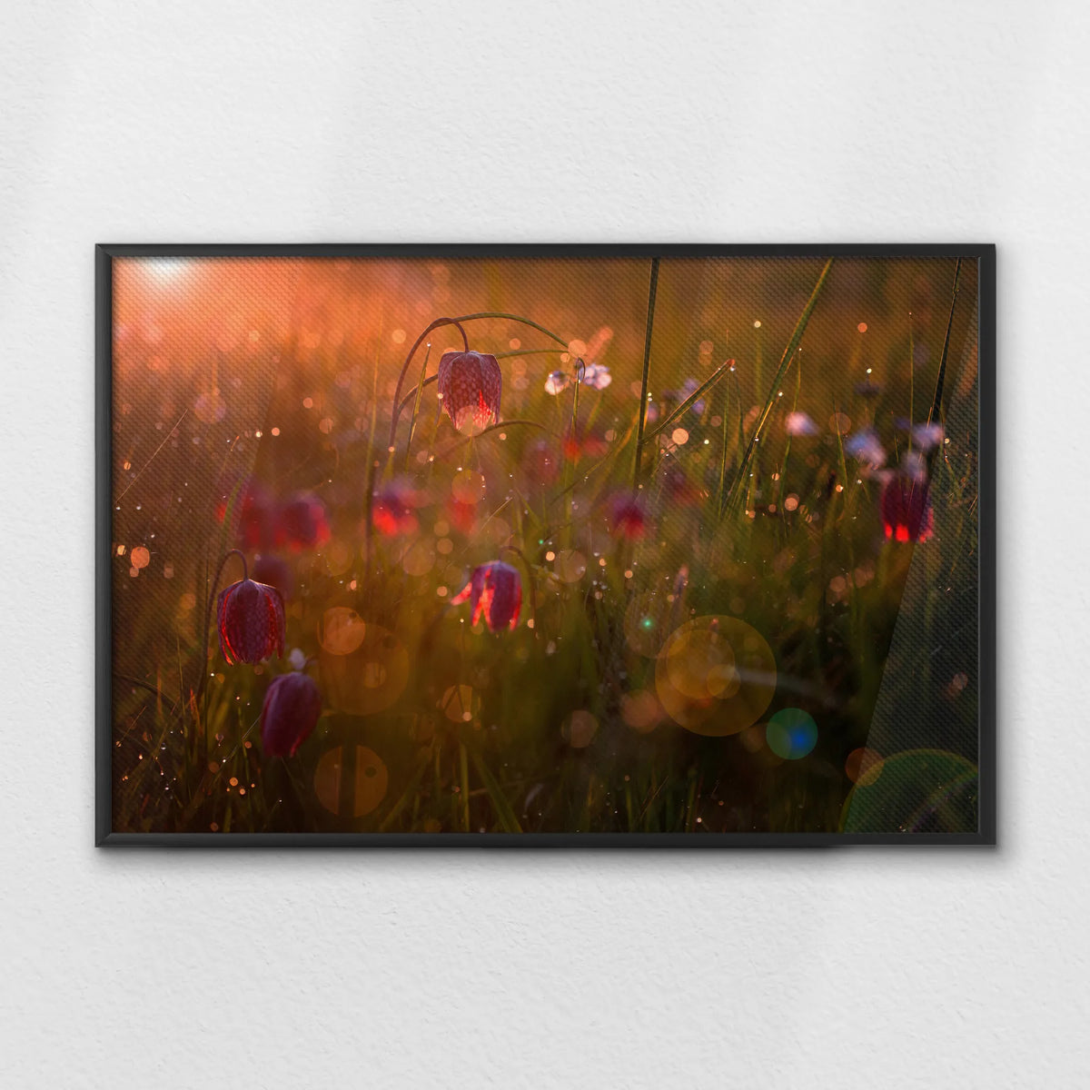 LWB100W070