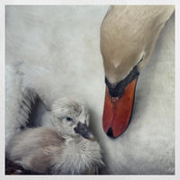 PO-030W030