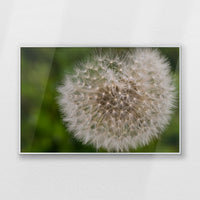 PS-093W062