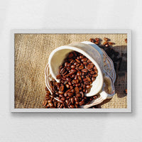 LWW060W040