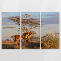 LW-210R140