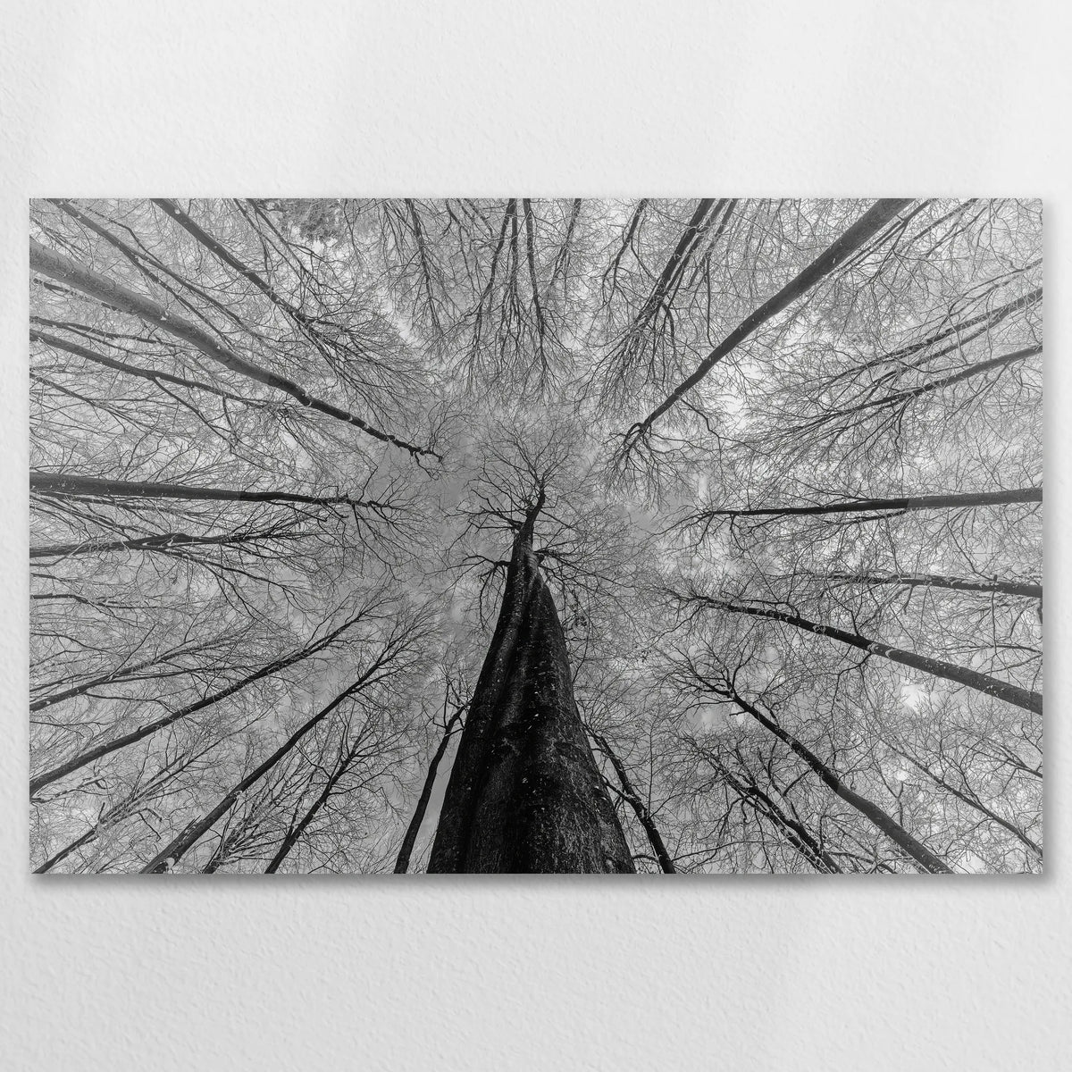 AC-090W060