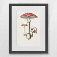 PKP030W040