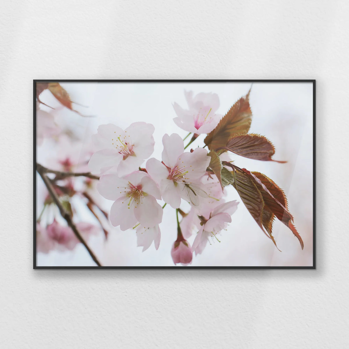 PB-093W062