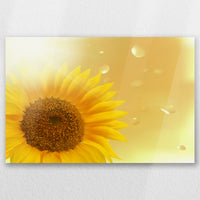 AC-030W020