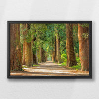 LWB060W040
