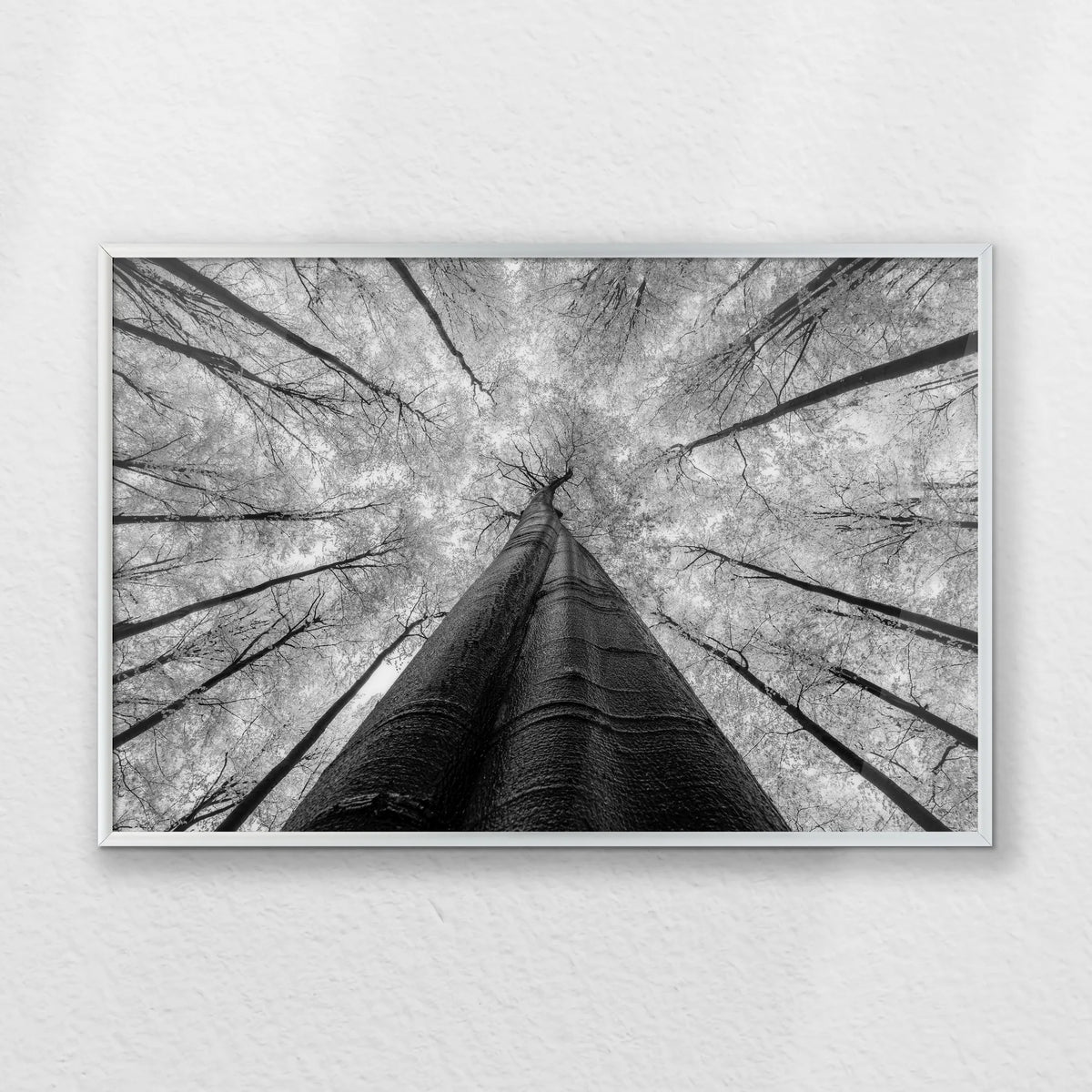 PS-060W040