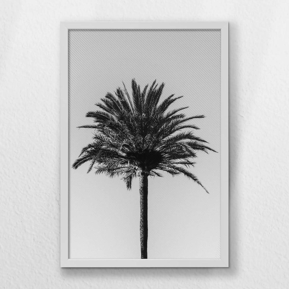 LWW040W060