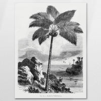 AL-075W100