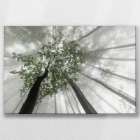 LW-045W030