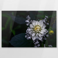 AL-075W050