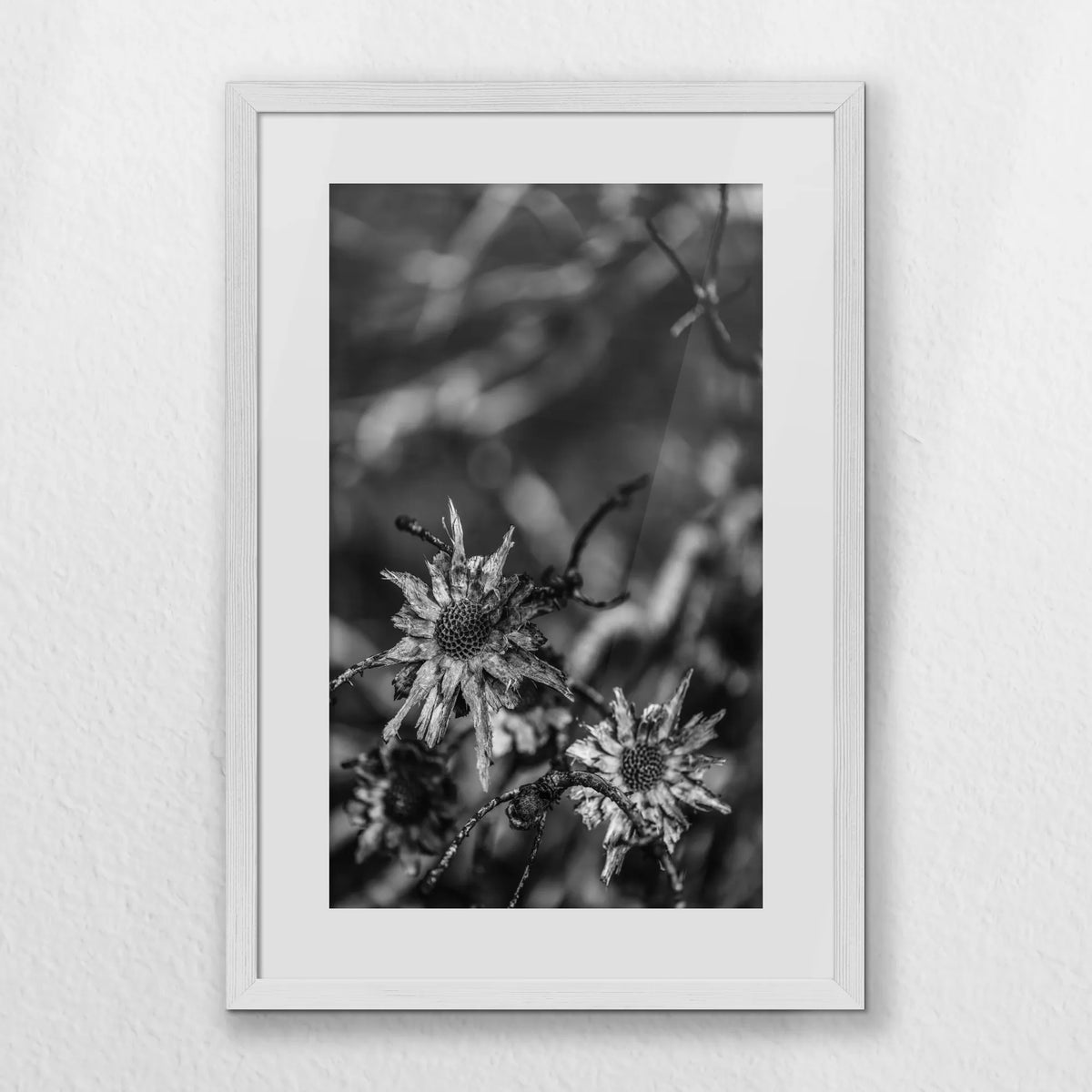 PWP040W060