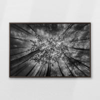 LWN120W080