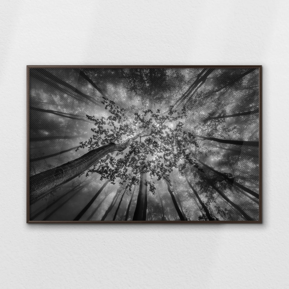 LWN120W080