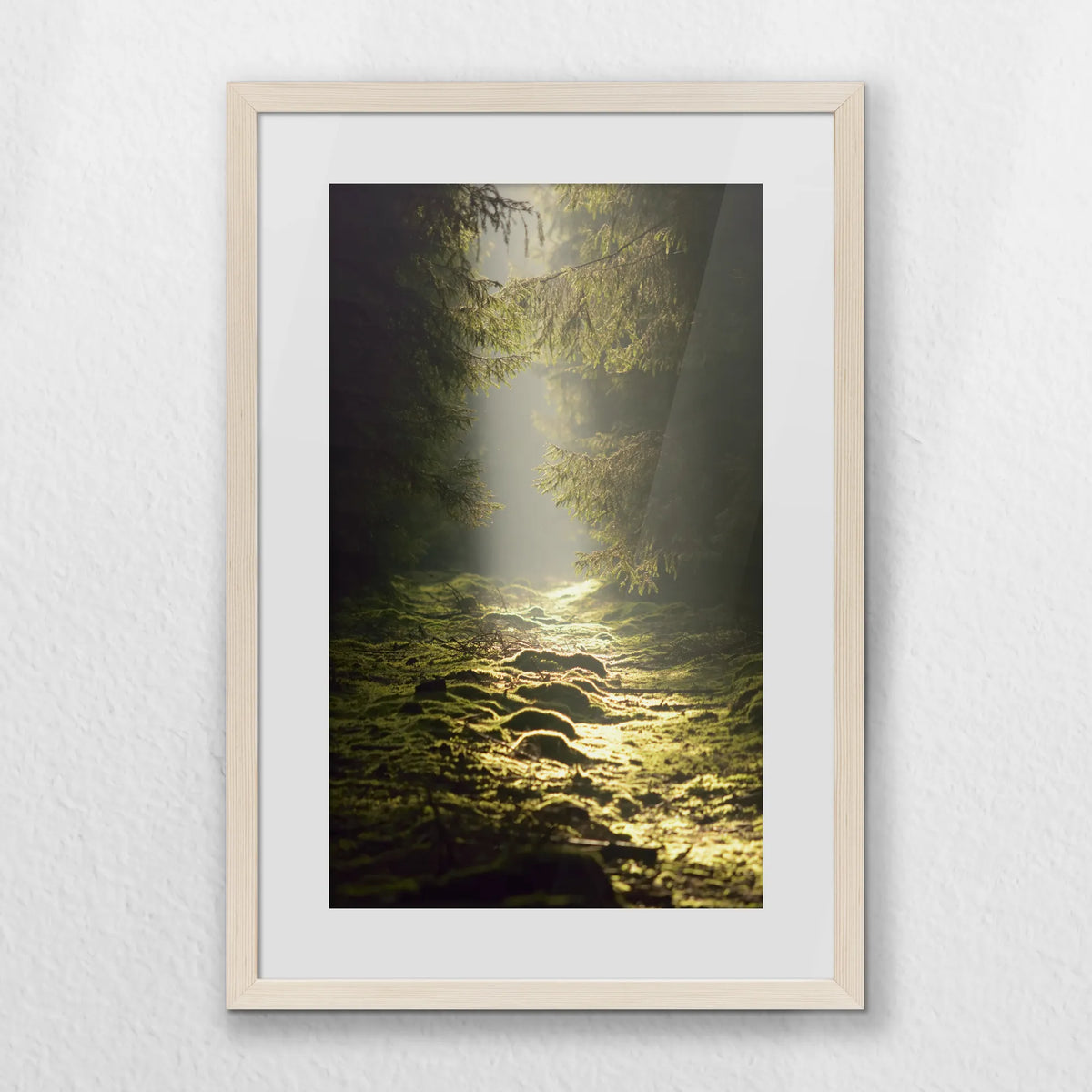 PNP040W060