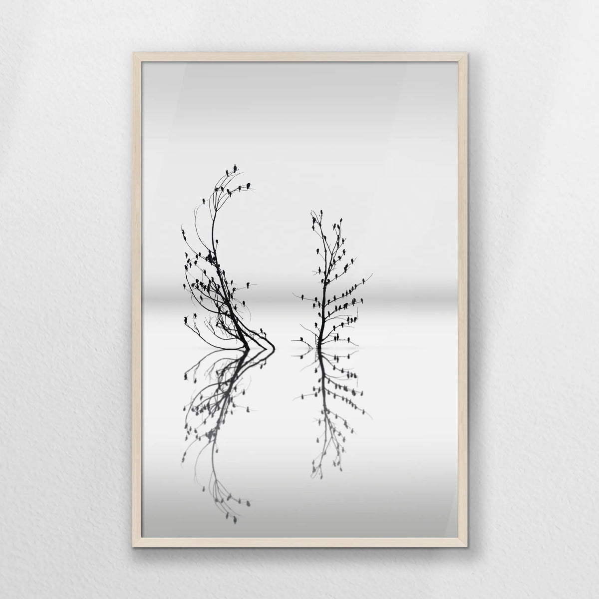 PN-062W093