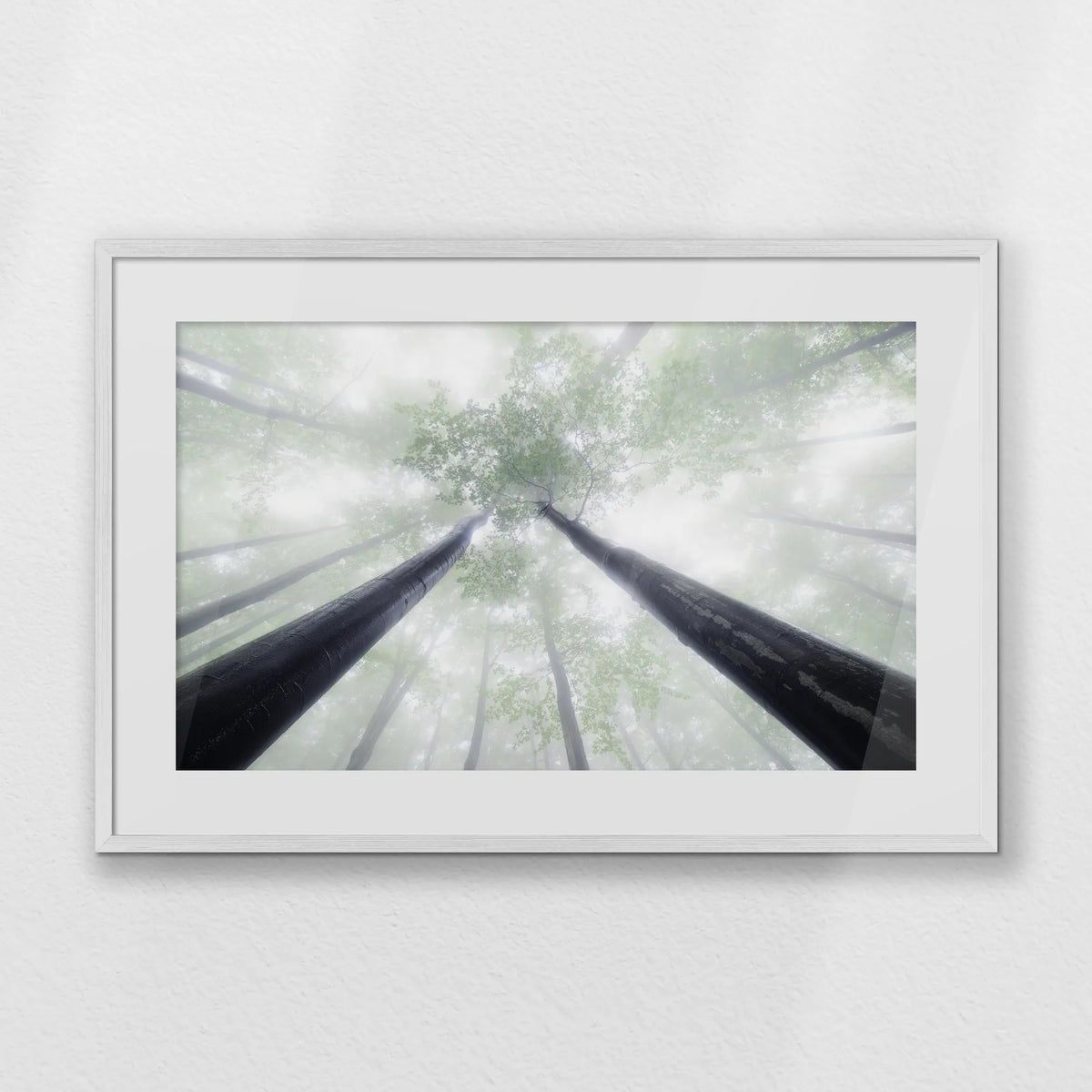 PWP093W062