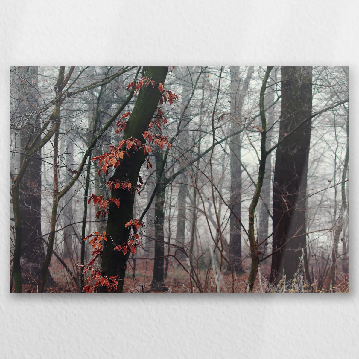 AL-060W040