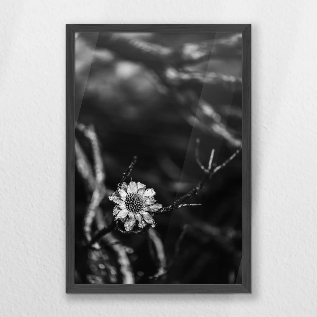 PK-040W060