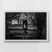LWW060W040