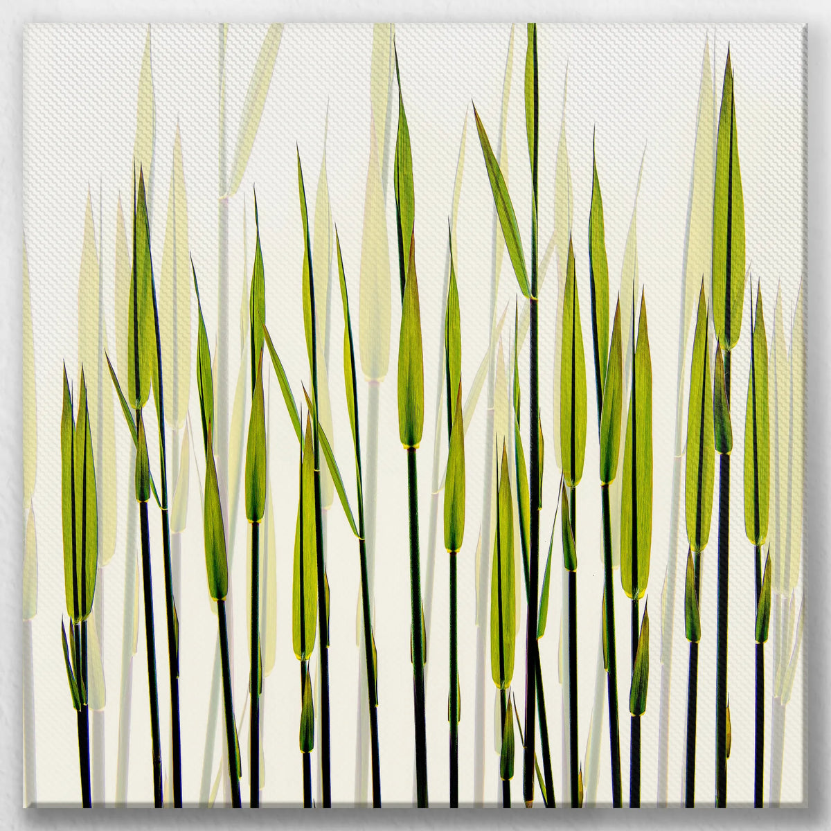 LW-030W030