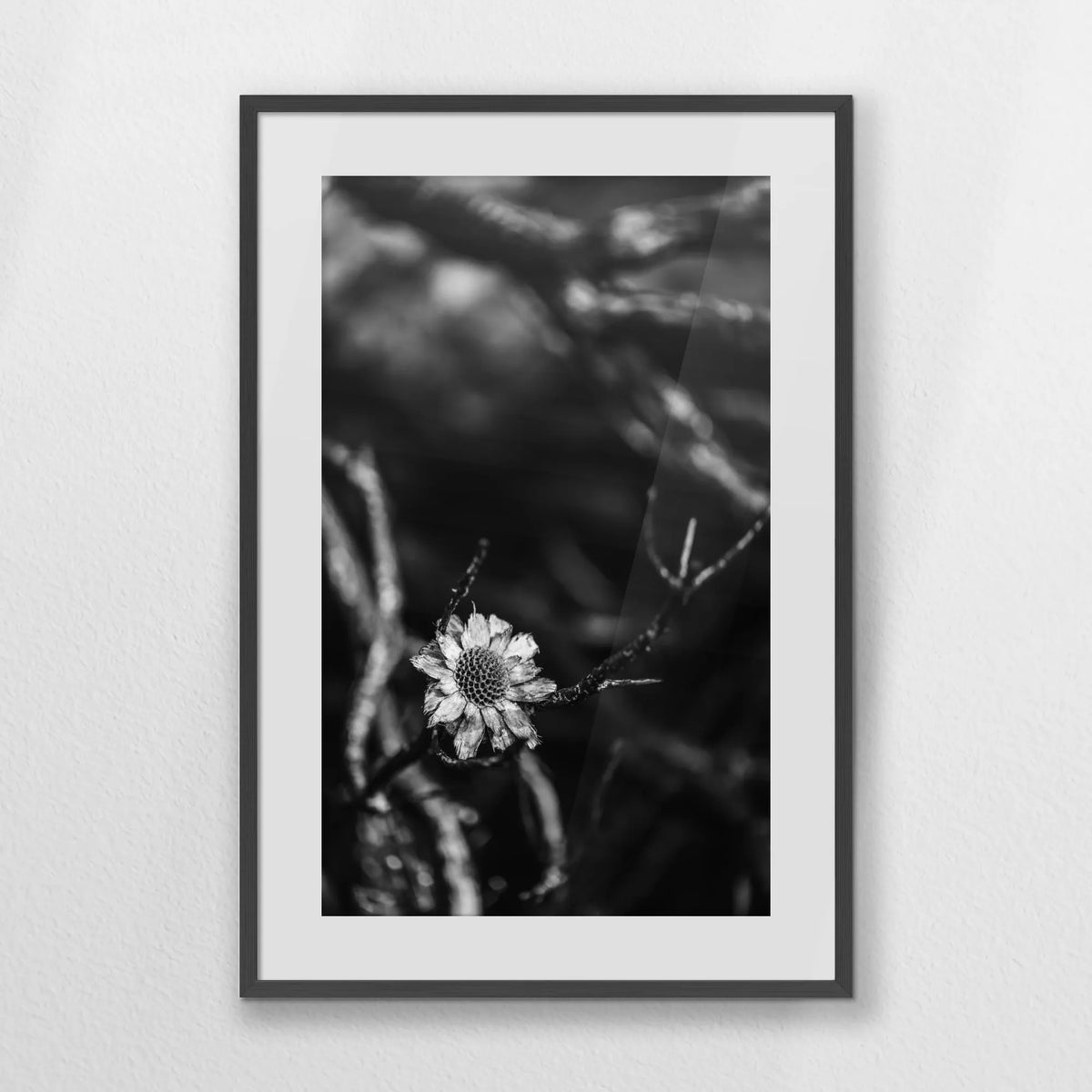 PKP062W093