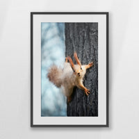 PKP062W093