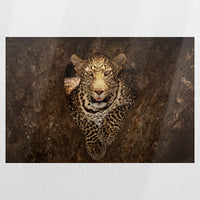 PO-045W030