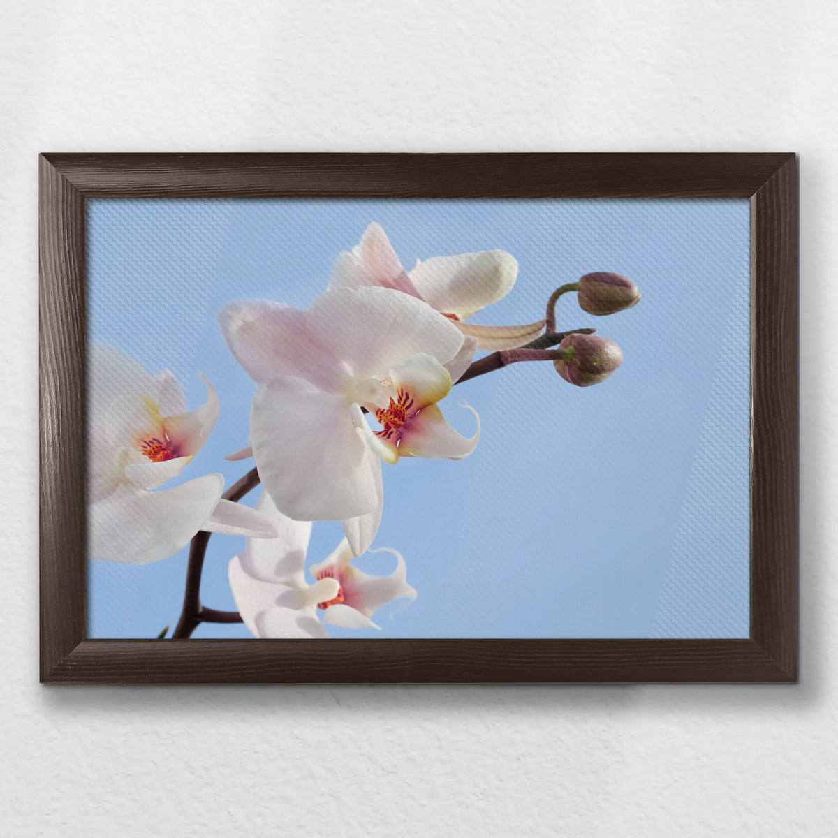 LWN030W020