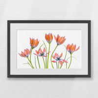 PKP060W040