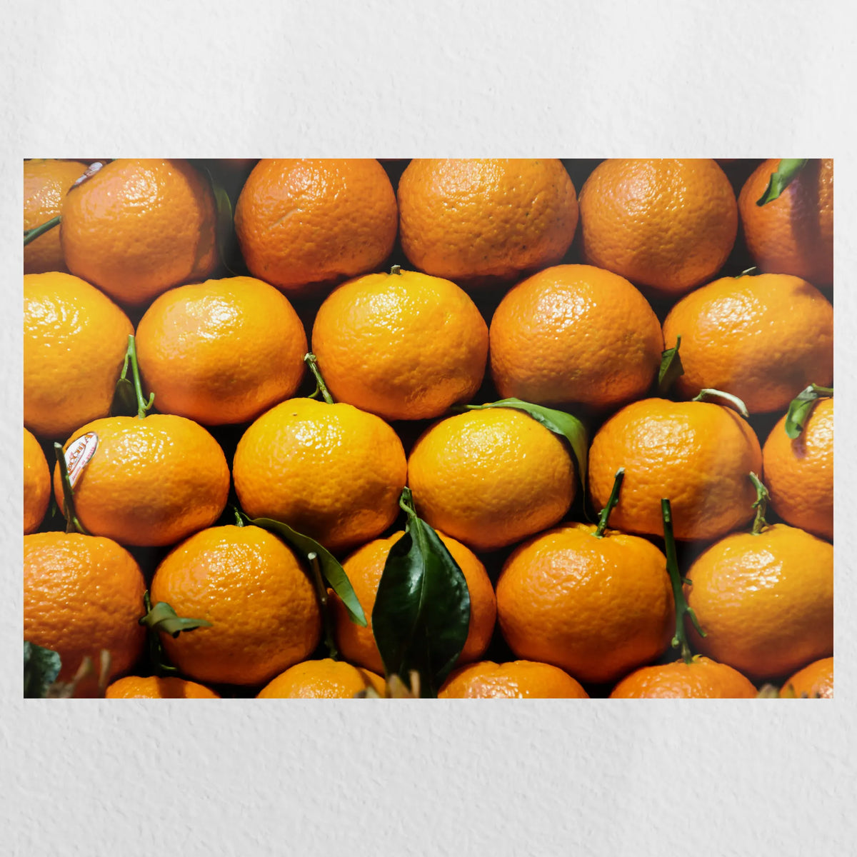 PO-060W040