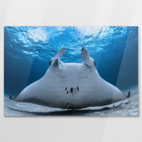 AC-075W050
