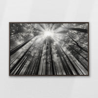 LWN120W080