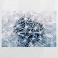 PO-045W030
