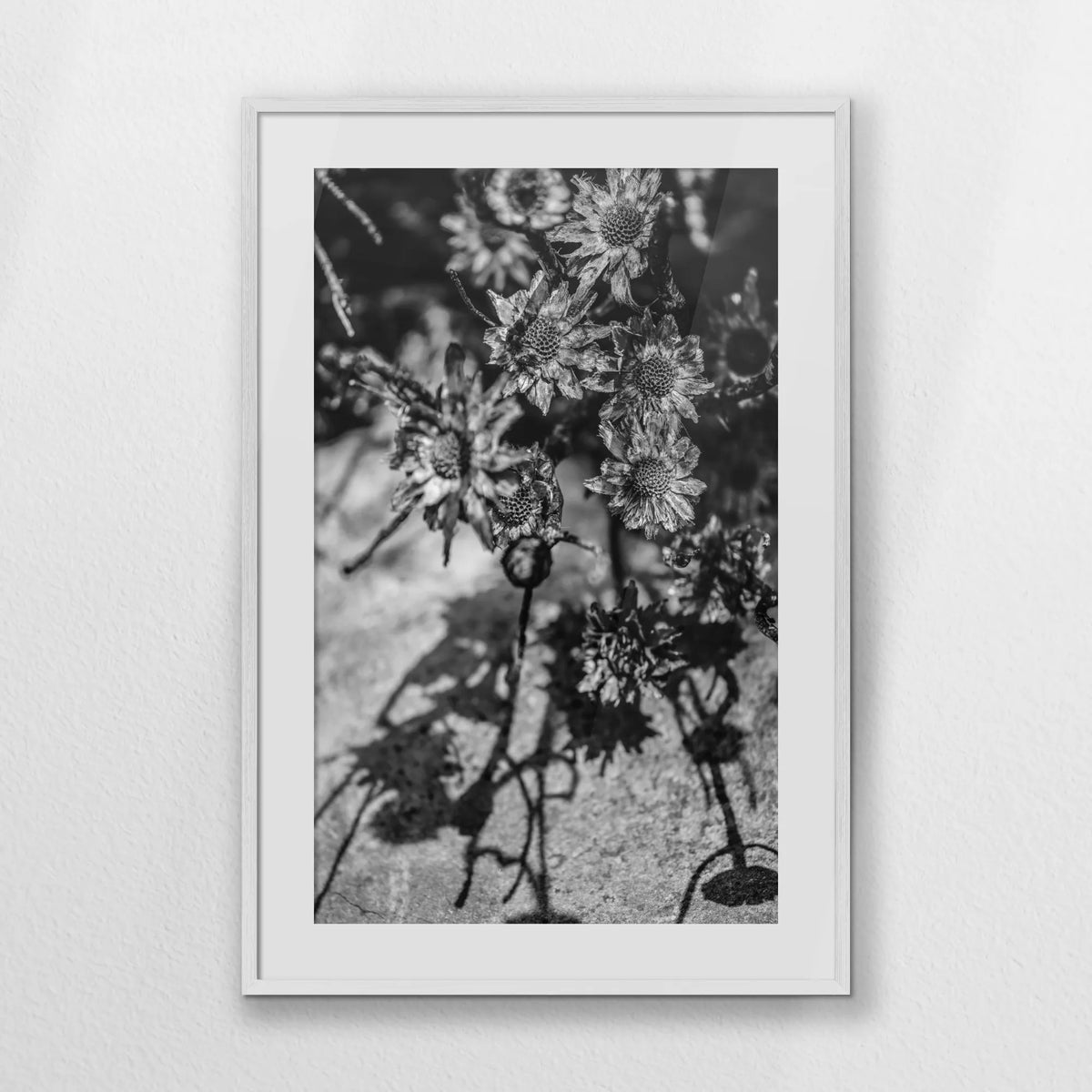 PWP070W100