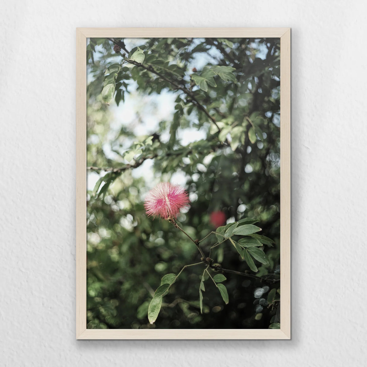 PN-040W060