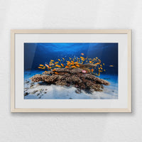 PNP060W040