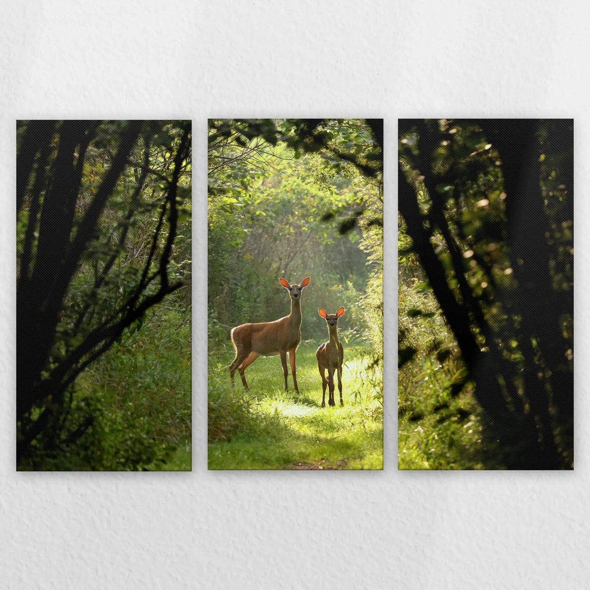 LW-210R140