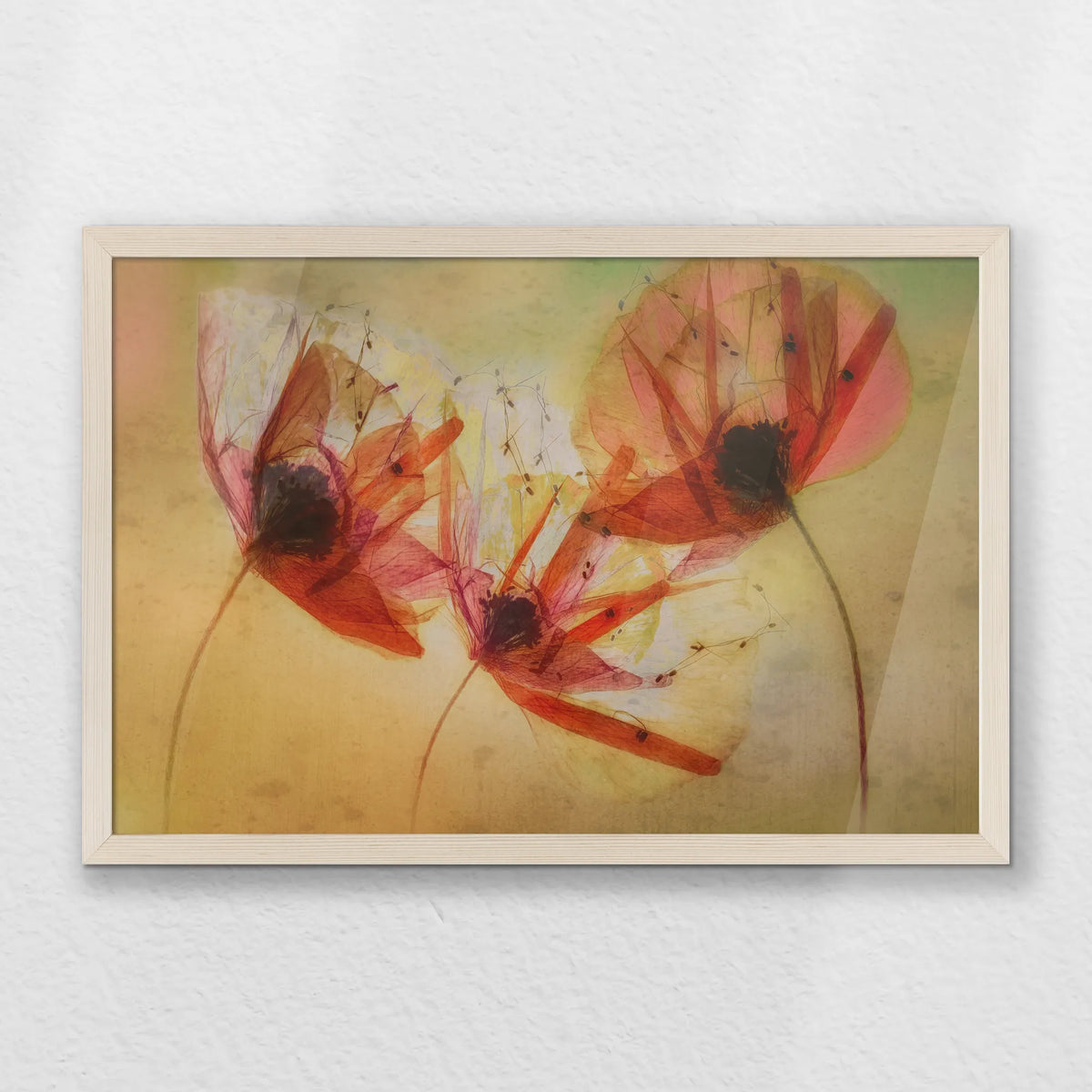 PN-060W040