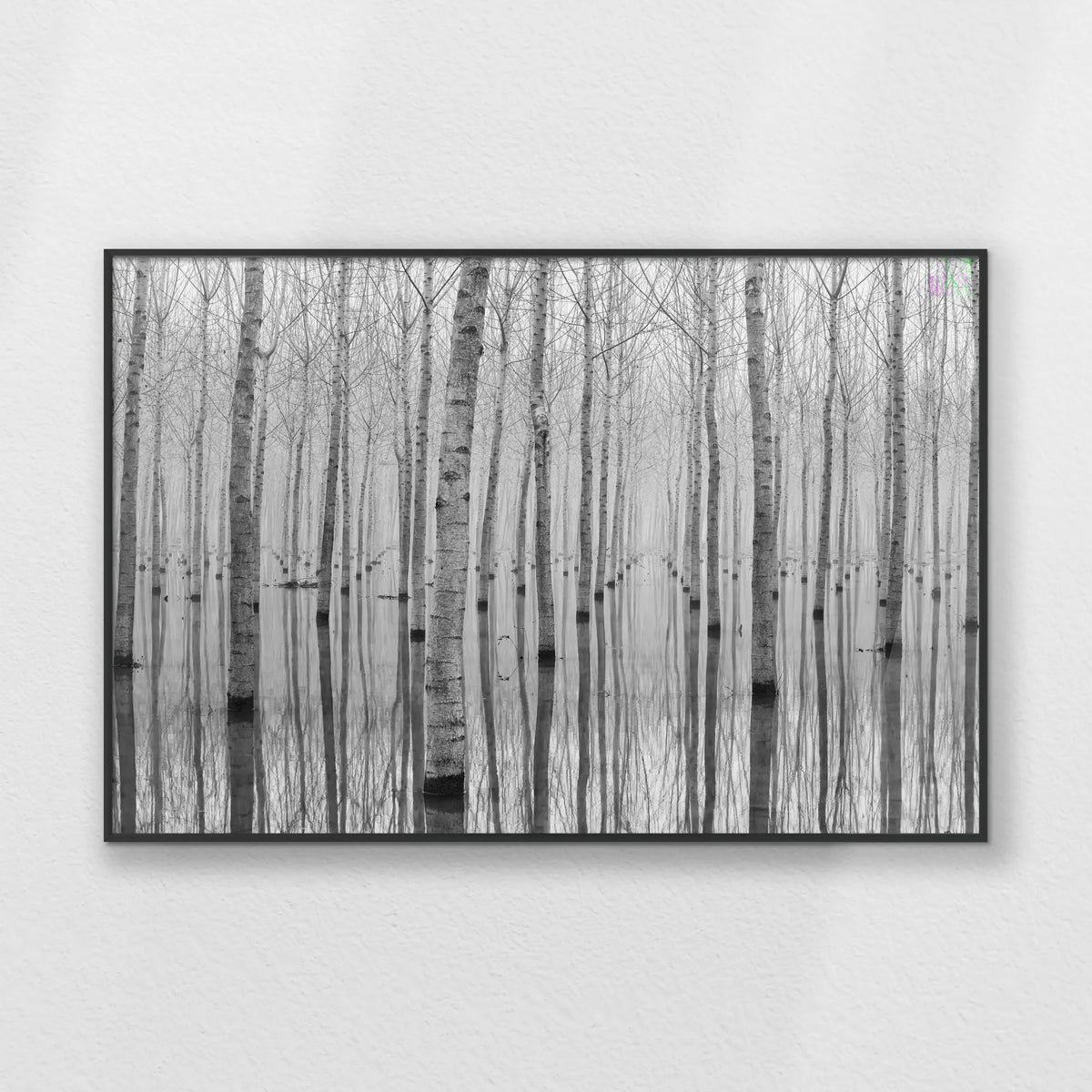 PB-093W062