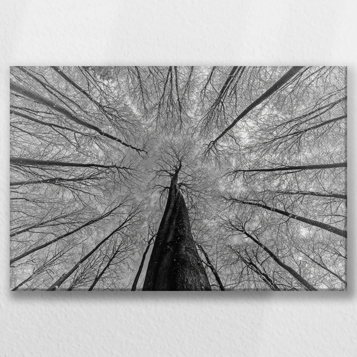 LW-060W040