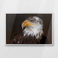 PS-060W040