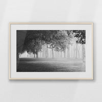 PNP093W062