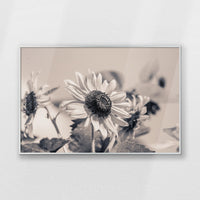 PS-093W062