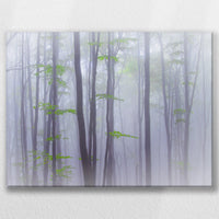 LW-060W045