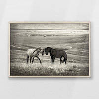 PN-093W062