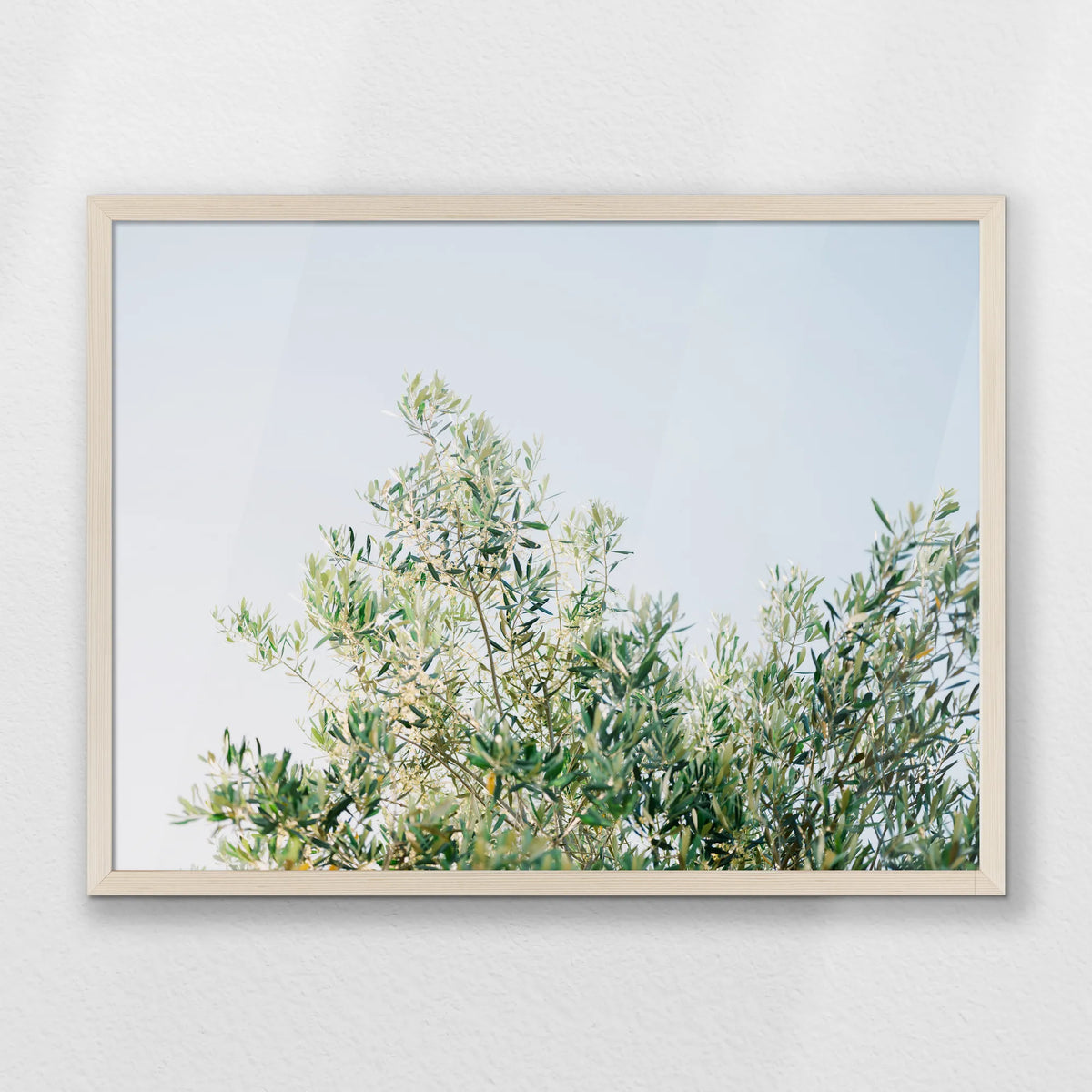 PN-070W050