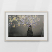 PNP093W062