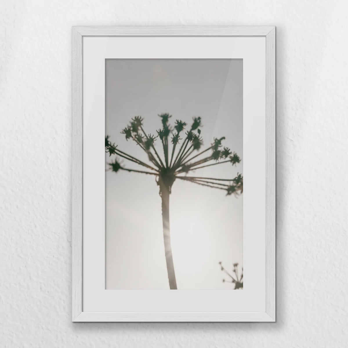 PWP040W060